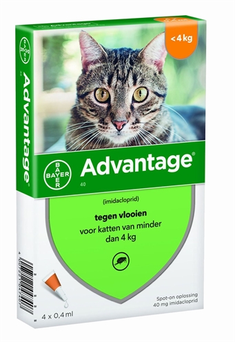 BAYER Advantage Kat Spot-on 4 pipetten voor katten tot 4 kg