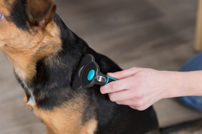 TRIXIE Vachtkam Carding voor Hond 15×7 cm – Ontvilt en Uitdunt
