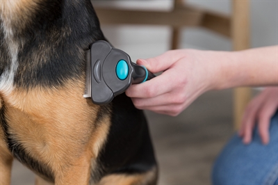 TRIXIE Vachtkam Carding voor Hond 15×7 cm – Ontvilt en Uitdunt