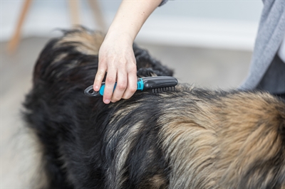 TRIXIE Vachtontvilter Gebogen tanden | voor ontvilten en uitdunnen - 18 cm