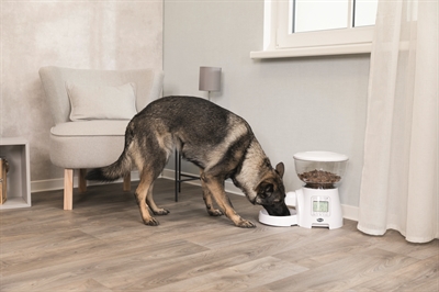 TRIXIE Voerdispenser TX7 - programmeerbaar tot 5 maaltijden, 5 L reservoir, spraakfunctie - Wit - 40x34x26 cm