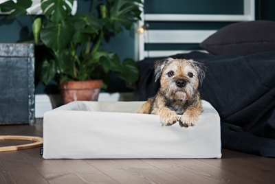 BIA hondenmandhoes katoen 60×50×12,5 cm – zand