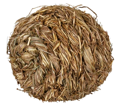 TRIXIE Grasbal Met Bel 10×10 cm – Natuurlijk Speelgoed voor Knaagdieren