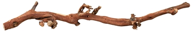 TRIXIE Druiventakken 100% natuurlijk, gewaterstraald - 40–60 cm - Set van 5