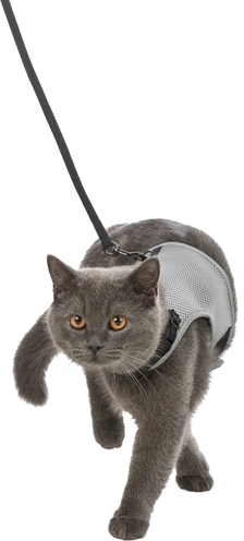 TRIXIE Kattentuig Soft 24-42 cm – Met Riem Assorti