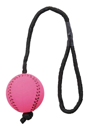TRIXIE Voetbal Aan Touw Drijvend Schuimrubber 6×6×30 cm – Assorti