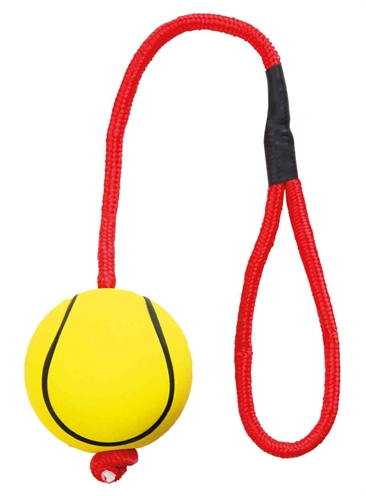 TRIXIE Voetbal Aan Touw Drijvend Schuimrubber 6×6×30 cm – Assorti