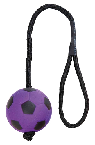 TRIXIE Voetbal Aan Touw Drijvend Schuimrubber 6×6×30 cm – Assorti