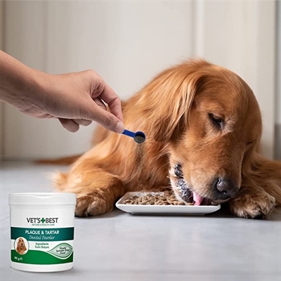 VETS BEST Dental Powder 90 GR – Tandenreiniger voor Honden