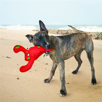 KONG hondenspeelgoed KONG BELLY FLOPS KREEFT 21×28×9 cm – Rood