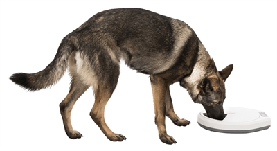 TRIXIE Automatische Voerdispenser TX4+1 36×33×5 cm – Wit/Grijs