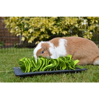 ROSEWOOD Snuffelmat Knaagdier Zwart/Groen 29,5×20 cm – Activiteit