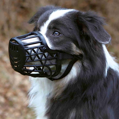TRIXIE Muilkorf Kunststof Zwart M – Voor Border Collie 23,5 cm