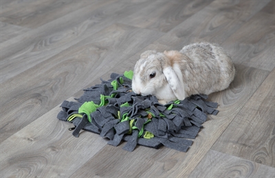 TRIXIE Schnüffelmatte Grau/Grün 27×20 cm - Für Kaninchen und Nagetiere