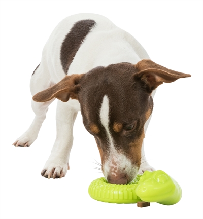 TRIXIE Snack-Slang TPR Opgerold 18 cm – Hondenspeelgoed
