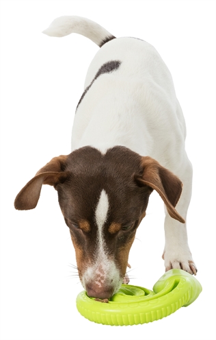 TRIXIE Snack-Slang TPR Opgerold 18 cm – Hondenspeelgoed