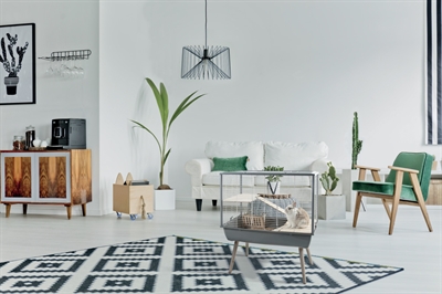 ZOLUX Knaagdierkooi Neo Muki Zwart 78×48×87,5 cm – Ruim en stijlvol