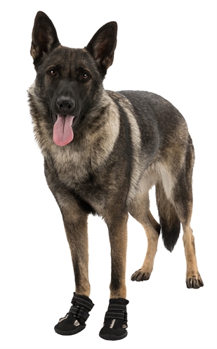 TRIXIE Pootbescherming Walker Active Bescherming tegen hitte & strooizout, slipvast - Zwart - M (2 st)