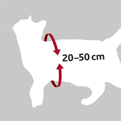 TRIXIE Kattentuig In De Auto Rood 20×50 cm – 1,5 cm Veiligheidsgordel