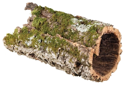 TRIXIE Reptielen Kurktunnel 75×30×30 cm – Natuurkleur 2 st