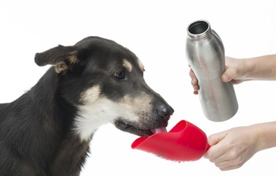 KONG H2O Drinkfles RVS Zwart 740 ml – Handige drinkbak voor honden