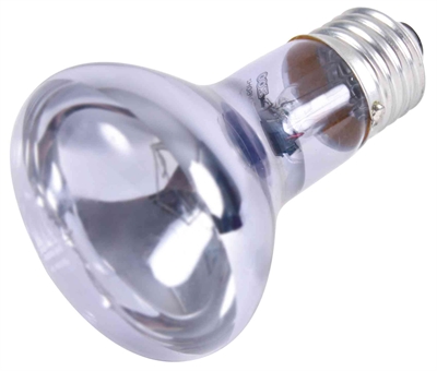 TRIXIE Warmtelamp Neodymium 50 W 6,3×6,3×10 cm – Reptielen