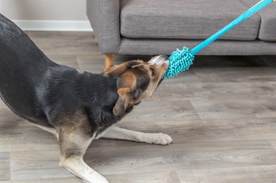 TRIXIE Dummy Bungee Polyester met schokdemper | geluidloos, met handvat - petrol - 47 cm