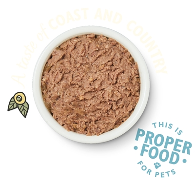 LILY'S KITCHEN Cat Smooth Pate | Zalm/Kip 19x85 gr
