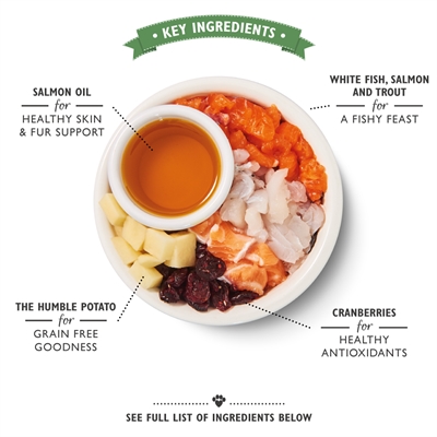 LILY'S KITCHEN Cat voer Fisherman's Feast Fish 800 gr – Graanvrij