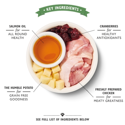 LILY'S KITCHEN kattenvoer Kip Casserole 800 gr – graanvrij