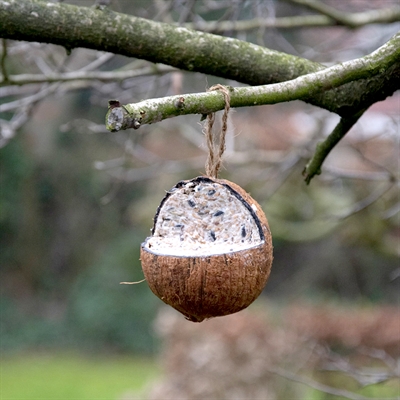 BEST FOR BIRDS Kokosnoot gevuld met vet 350 gr – Wintervoer voor tuinvogels