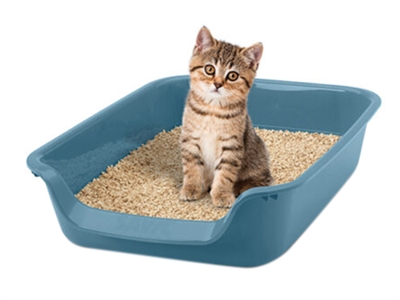SAVIC Kattenbak Junior Blauw 56×39×13 cm – Open met lage instap