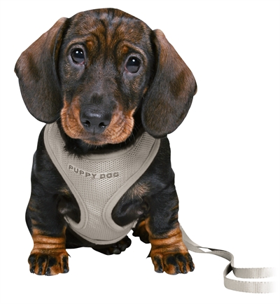 TRIXIE Puppytuig Soft Lichtgrijs 26×34 cm met Riem – Verstelbaar