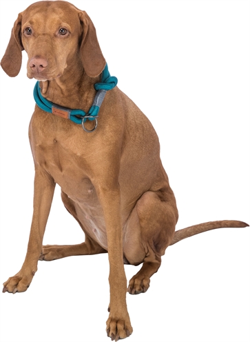 TRIXIE Halsband Hond Be Nordic Halfslip Petrol 35×0,6 cm – Lichtgrijs