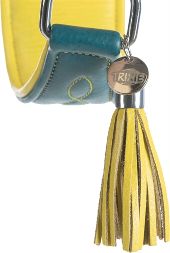 TRIXIE Hondenhalsband Active Comfort Petrol 33-42×6 cm – Leer