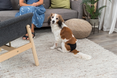 TRIXIE Loopheidsbroekje Zwart L 50-59 cm – Polyester met Elastan