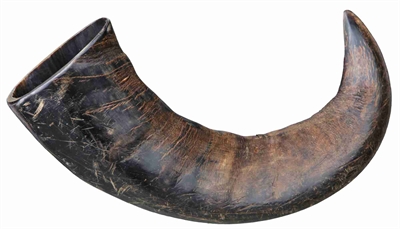 TRIXIE Chewy Buffalo Horn Large L 6 St - Ideal für Allergiker