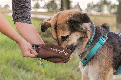 TRIXIE Hondendummy PREYDUMMY CANVAS 7×7×18 cm – Bruin