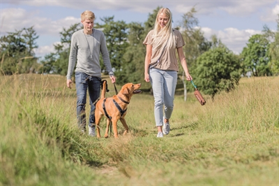 TRIXIE Hondendummy PREYDUMMY CANVAS 7×7×18 cm – Bruin