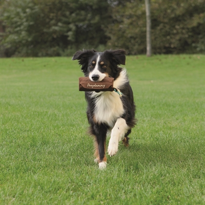 TRIXIE Hondendummy PREYDUMMY CANVAS 7×7×18 cm – Bruin