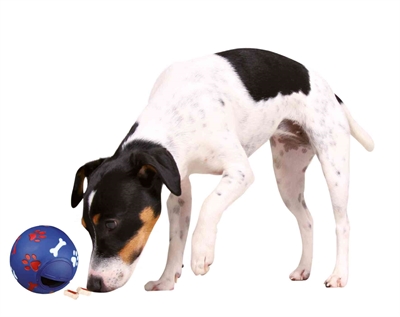 TRIXIE Snackbal Kunststof Blauw 11×11×11 cm – Perfect voor Honden