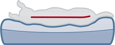 TRIXIE Hondenligmat Bendson Orthopedisch 120×85 cm – Lichtgrijs