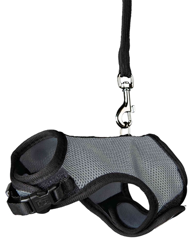 TRIXIE Softgeschirr Meerschweinchen 18-25 cm mit 120 cm Gurt - Assorted Colour