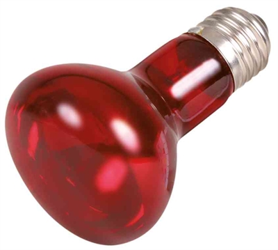 TRIXIE Infrarood warmtelamp Reptiland - Warmteregulatie voor terrarium - 6,3x6,3x10 cm | 35 W | 3 st