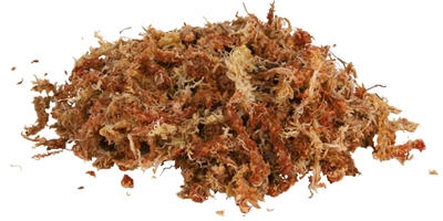 TRIXIE Veenmos Terrarium Reptiland - Verhoogt en behoudt luchtvochtigheid, chemievrij - 4x4,5 L