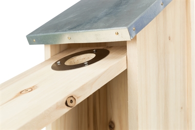 TRIXIE Nestkast voor spreeuwen Grenenhout met spechtbescherming - Houtkleur - 18 x 31 x 16 cm