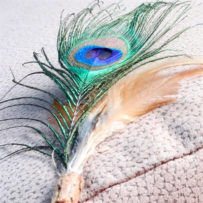 CROCI Kattenhengel Euphoria Matatabi Pauwenveer 12 cm – Natuurlijk