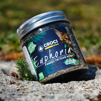 CROCI Kattenkruid Pot Euphoria 25 gr – Natuurlijk en Relaxed