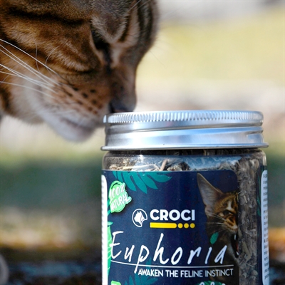 CROCI Kattenkruid Pot Euphoria 25 gr – Natuurlijk en Relaxed