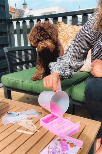 EASYPETS hondenijs Ananas 2X55 g – plantaardig & verfrissend